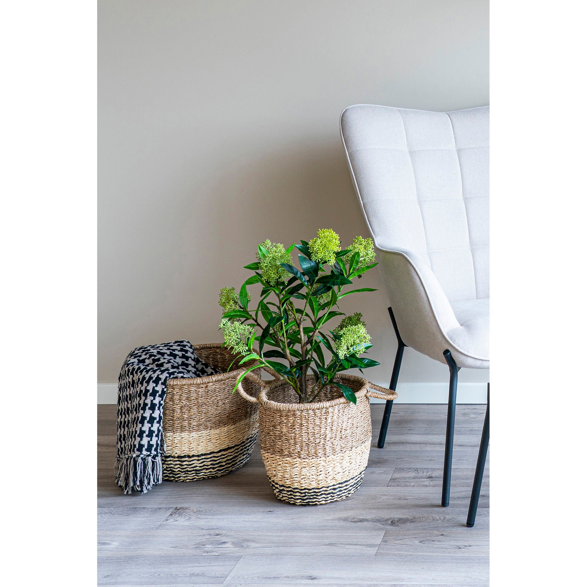 Skimmia – Kunstpflanze, grün, 75 cm